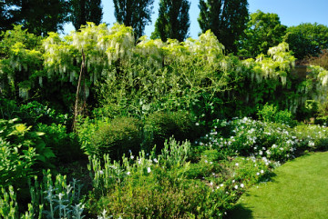 The gardens at Barrington Court, looking splendid in the sun